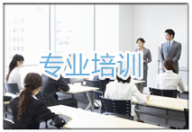 专业培训